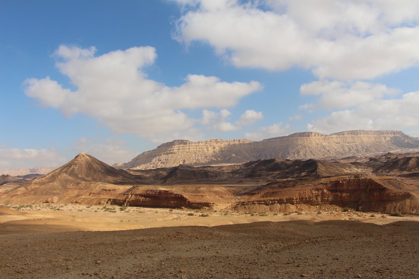 מקטע 5 – מחניון לילה מפער פיטם לחניון לילה נקרות מערב
