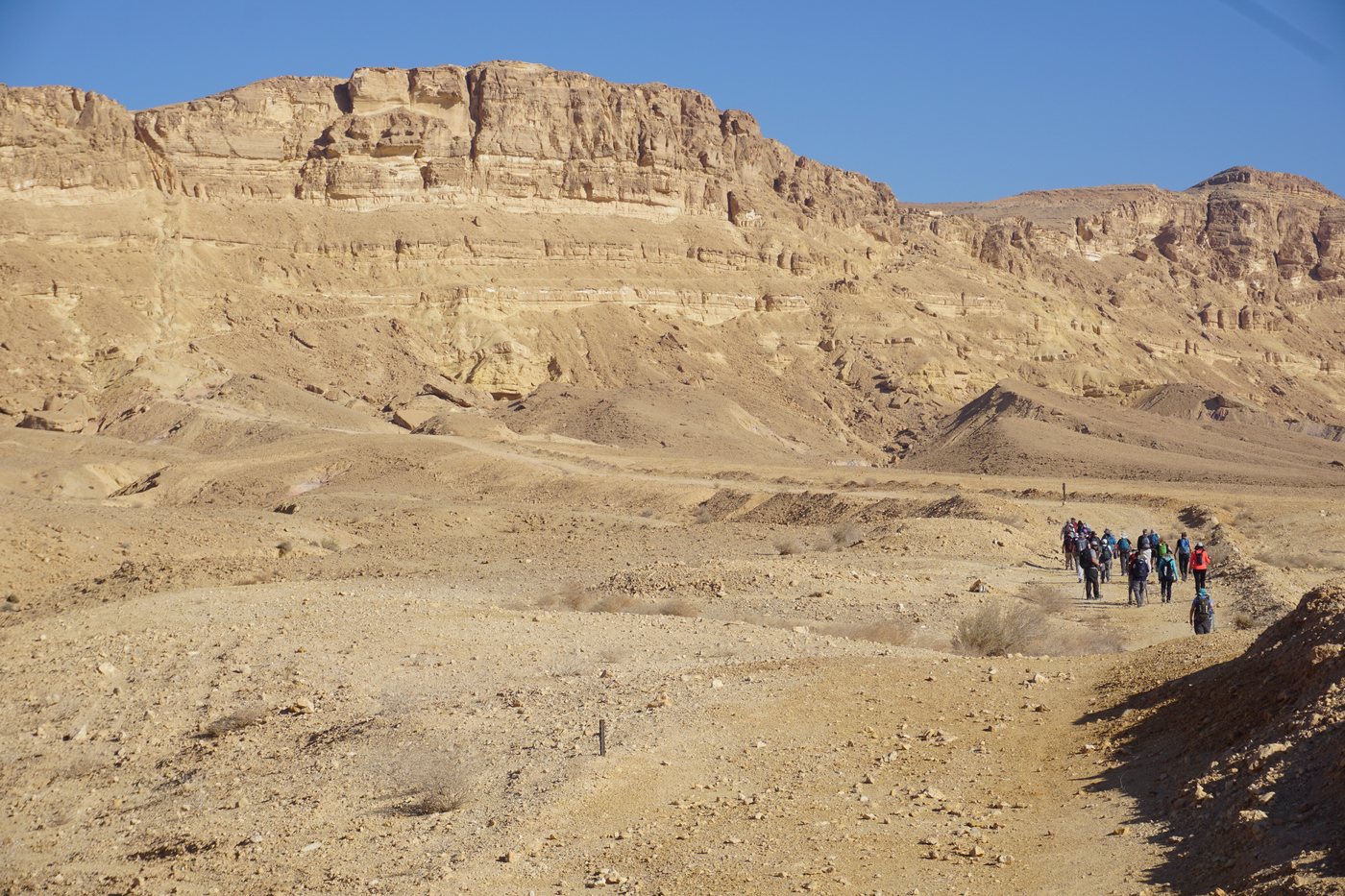 מקטע 2 – מחניון לילה נחל ניצנה לבורות לוץ