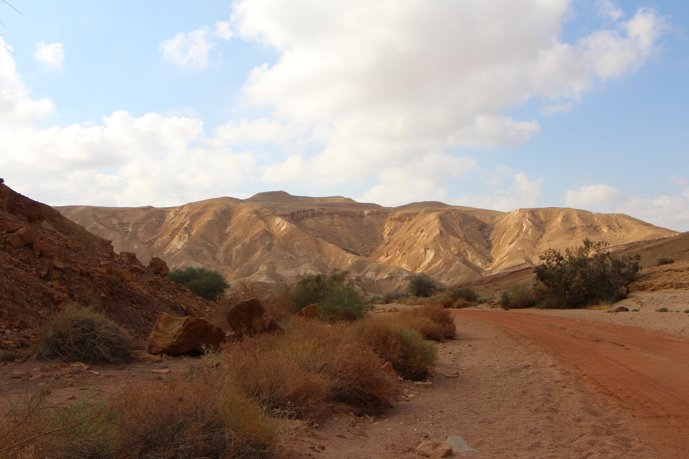 מקטע 4 – מחניון לילה הר עידו לחניון לילה מפער פיטם