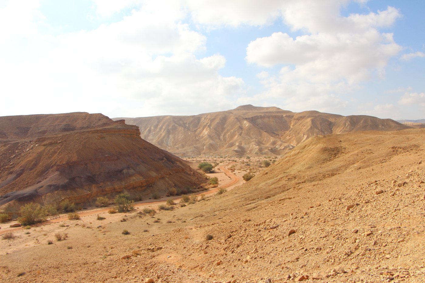 מקטע 4 – מחניון לילה הר עידו לחניון לילה מפער פיטם